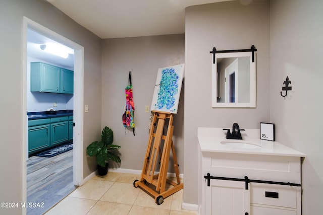 bathroom featuring hardwood / wood-style floors and vanity