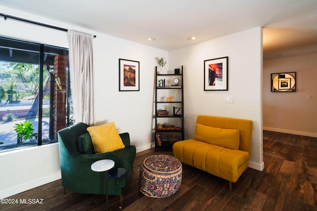 living area featuring dark wood-type flooring