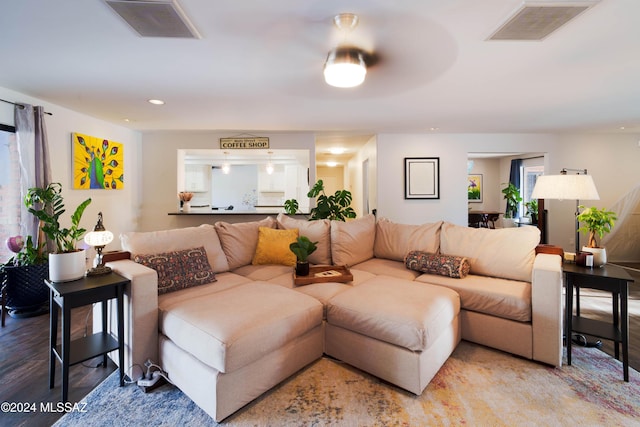 living room featuring wood-type flooring