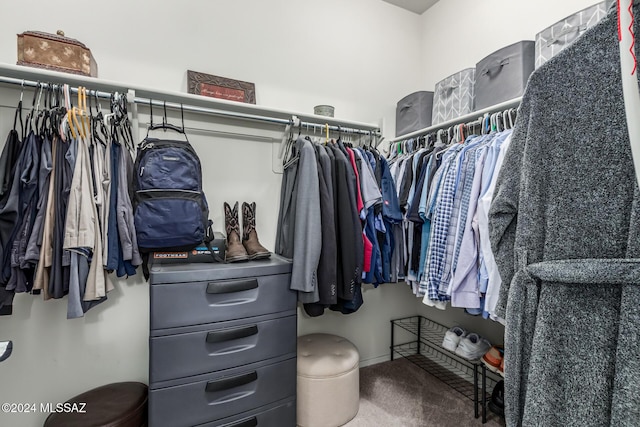 spacious closet with carpet flooring