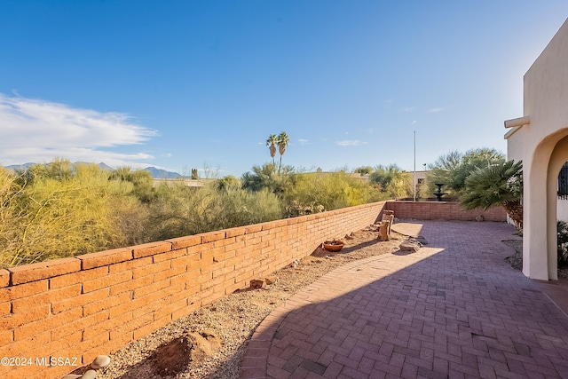 view of yard with a patio area