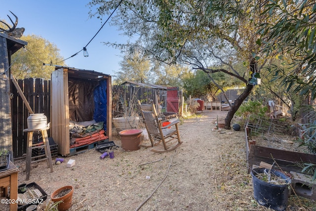 view of yard with a storage shed