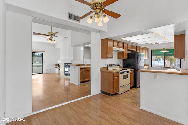 kitchen featuring ceiling fan, light hardwood / wood-style flooring, white appliances, and sink