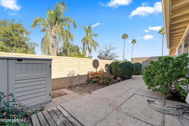 view of patio / terrace featuring a shed