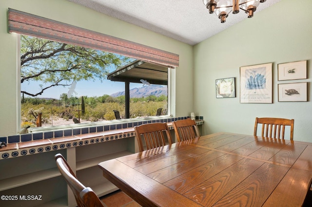 dining area with vaulted ceiling, a mountain view, a healthy amount of sunlight, and a textured ceiling