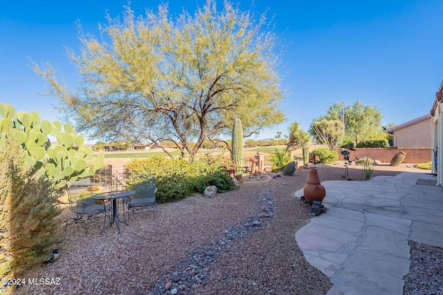 view of yard featuring a patio area