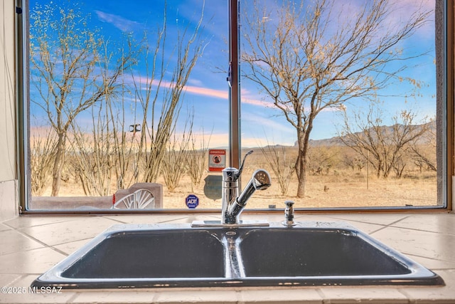 exterior details featuring sink