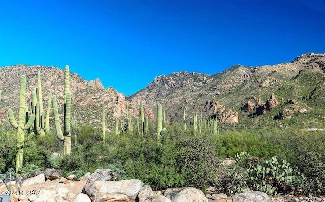 view of mountain feature