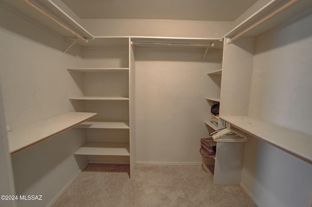 spacious closet with light carpet