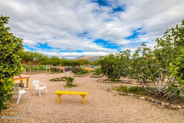 view of yard featuring a vegetable garden