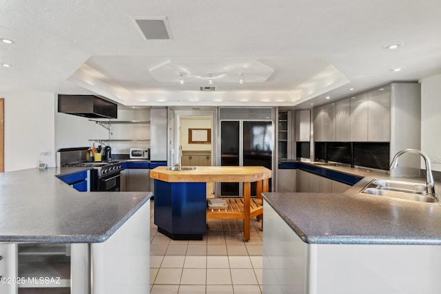 kitchen with a tray ceiling, sink, a kitchen bar, premium appliances, and kitchen peninsula