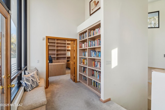 sitting room with a wealth of natural light and light colored carpet