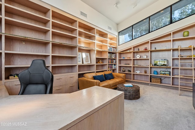 carpeted office with a towering ceiling