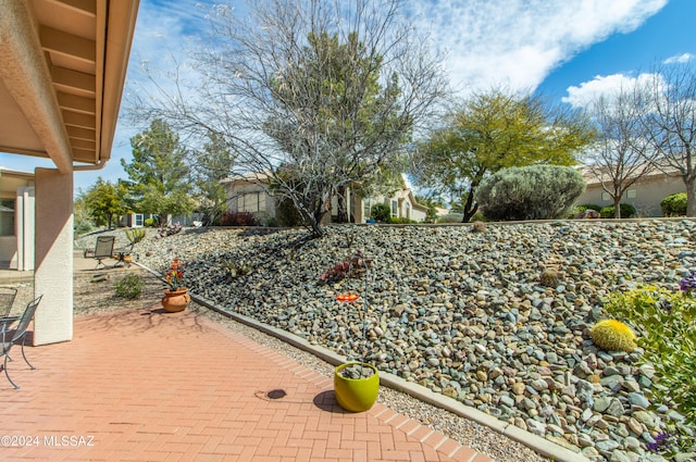 view of yard featuring a patio area