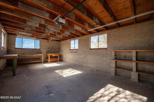 basement with brick wall