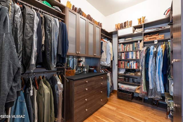 spacious closet with light hardwood / wood-style floors