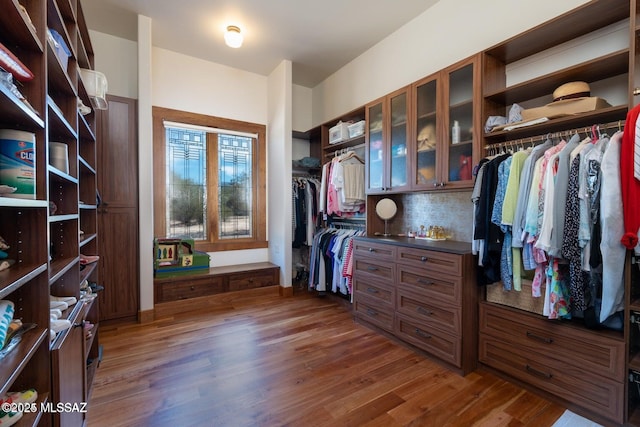 walk in closet with dark hardwood / wood-style floors