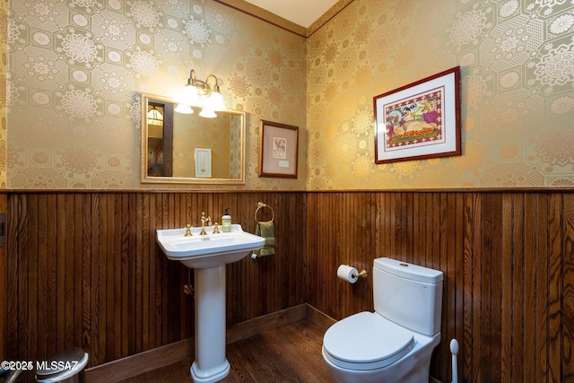 bathroom with hardwood / wood-style floors and toilet