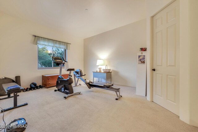 workout room with light carpet