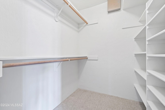 walk in closet with carpet floors