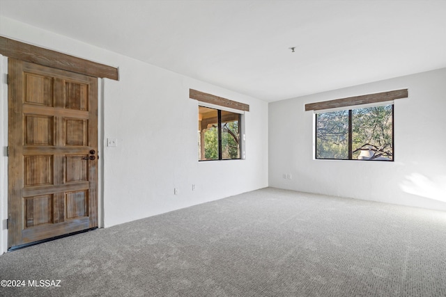 carpeted spare room with a wealth of natural light