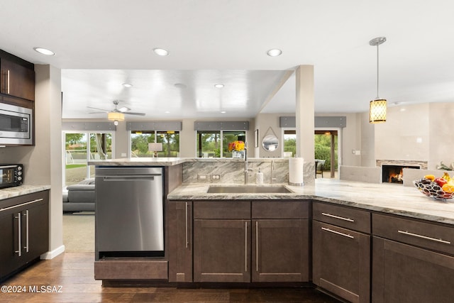 kitchen featuring dark wood-type flooring, a wealth of natural light, stainless steel appliances, and sink