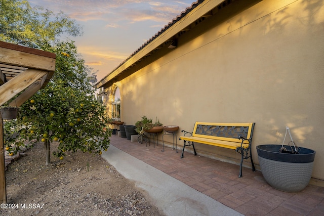 view of patio terrace at dusk