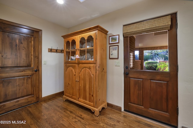 foyer entrance featuring dark wood-type flooring