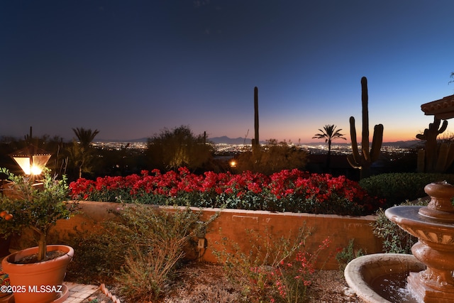 view of yard at dusk