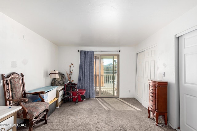 sitting room featuring carpet flooring