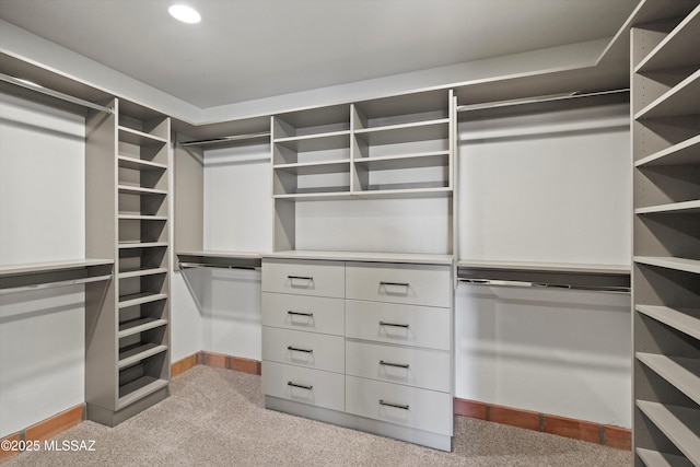 spacious closet with light colored carpet