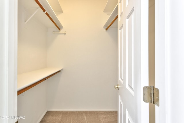 walk in closet with light colored carpet