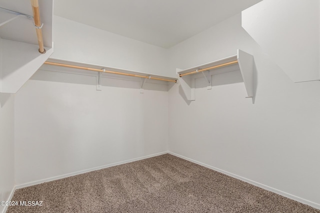 spacious closet featuring carpet