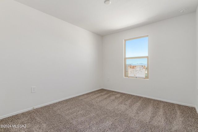 spare room with carpet floors