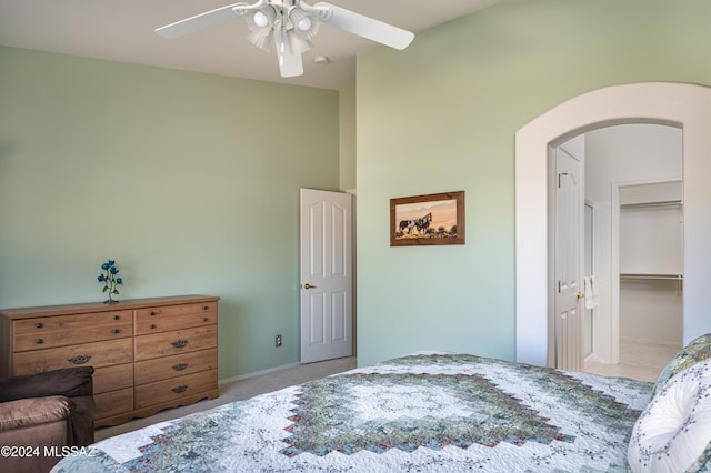 carpeted bedroom featuring ceiling fan, a walk in closet, and a closet