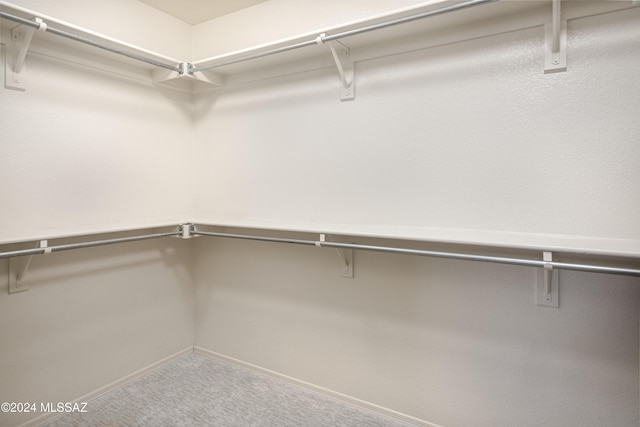 walk in closet with carpet flooring