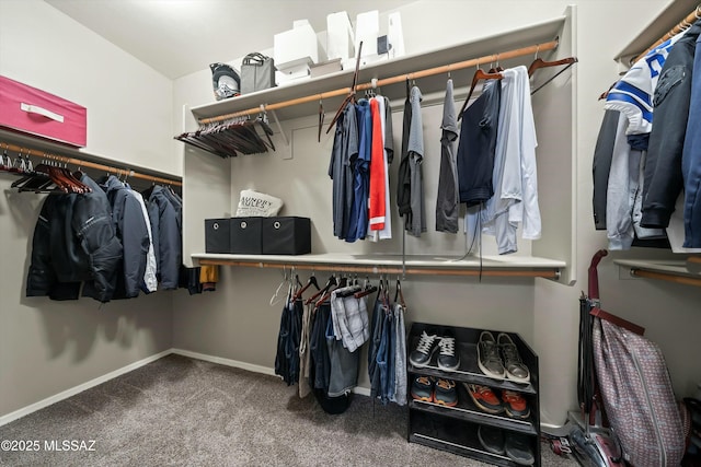 walk in closet featuring carpet floors