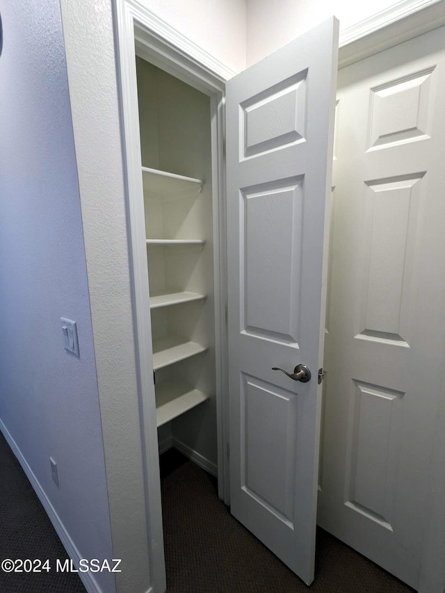 view of closet