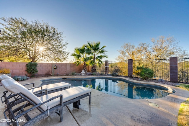 view of pool featuring a patio