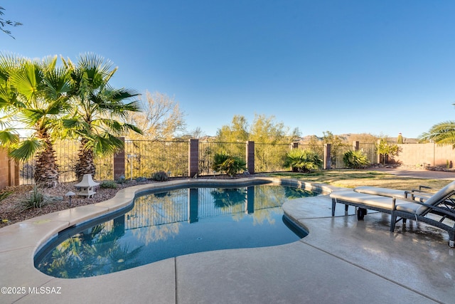 view of pool featuring a patio