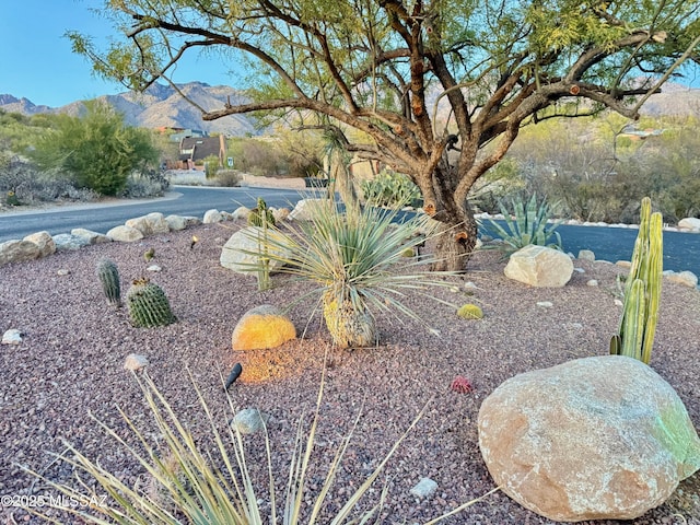 view of yard featuring a mountain view