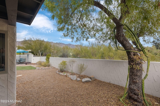 view of yard featuring a mountain view