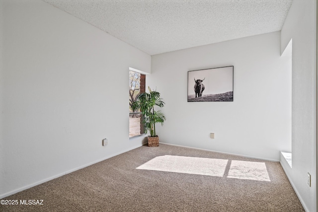 empty room featuring carpet floors and a textured ceiling