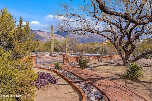 exterior space with a mountain view