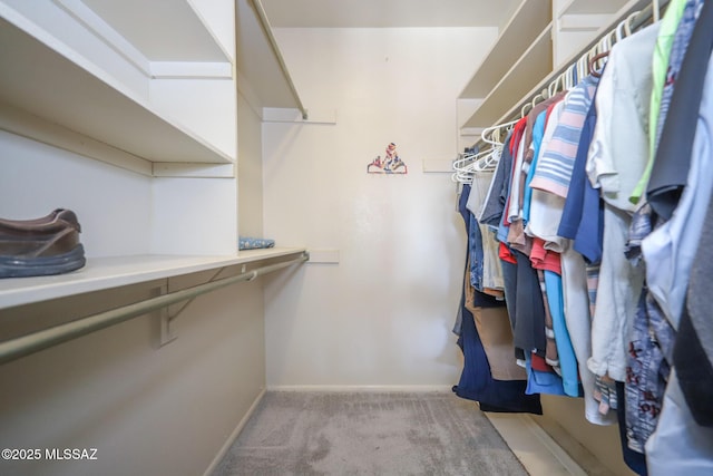 spacious closet featuring light carpet