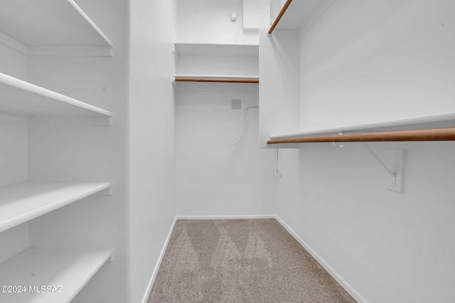 walk in closet featuring carpet floors