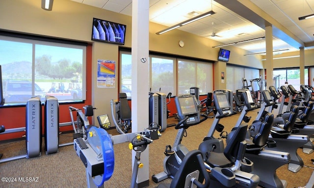 exercise room featuring carpet flooring