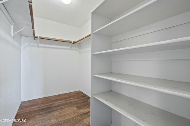 spacious closet with dark wood-type flooring