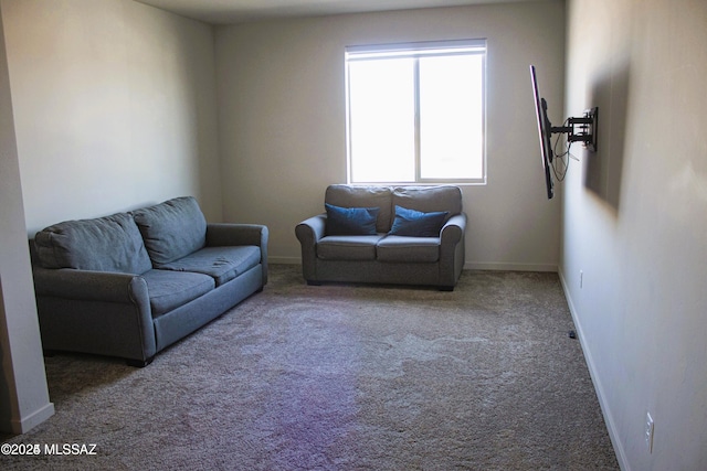 living room featuring carpet flooring