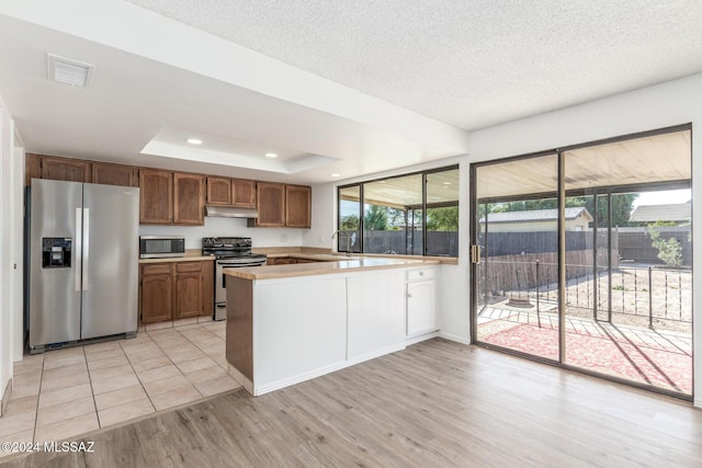 kitchen with sink, kitchen peninsula, light hardwood / wood-style floors, a tray ceiling, and appliances with stainless steel finishes